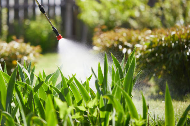24/7 Emergency Ant Control experts in Georgetown, IL